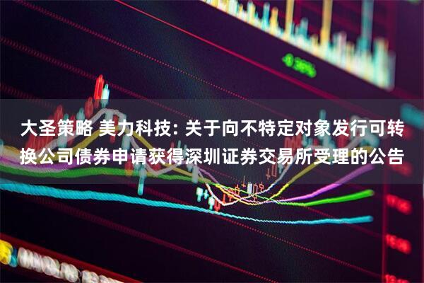 大圣策略 美力科技: 关于向不特定对象发行可转换公司债券申请获得深圳证券交易所受理的公告