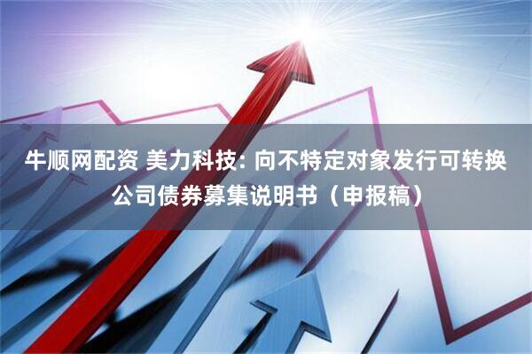 牛顺网配资 美力科技: 向不特定对象发行可转换公司债券募集说明书(申报稿)