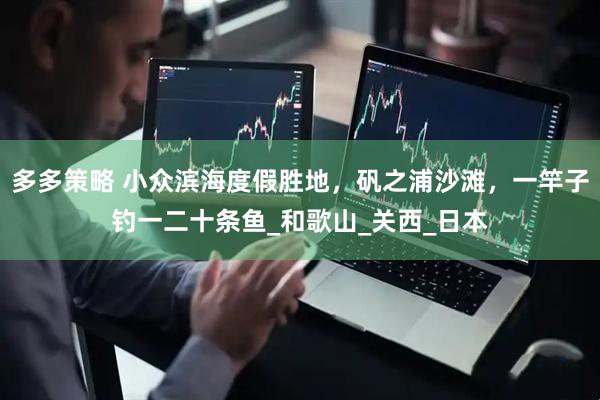 多多策略 小众滨海度假胜地，矾之浦沙滩，一竿子钓一二十条鱼_和歌山_关西_日本