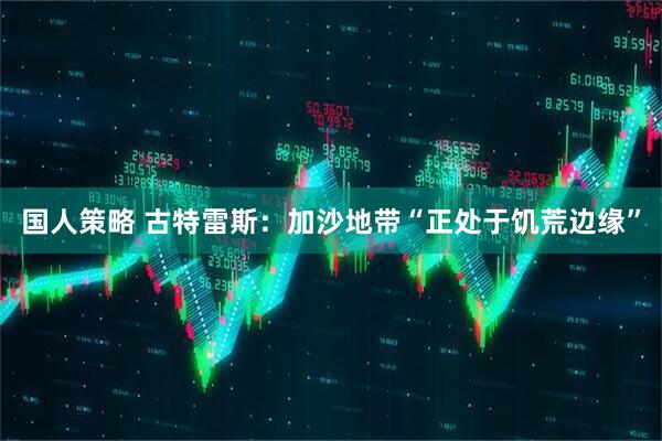 国人策略 古特雷斯：加沙地带“正处于饥荒边缘”