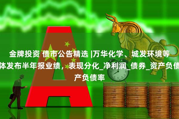 金牌投资 债市公告精选 |万华化学、城发环境等主体发布半年报业绩，表现分化_净利润_债券_资产负债率