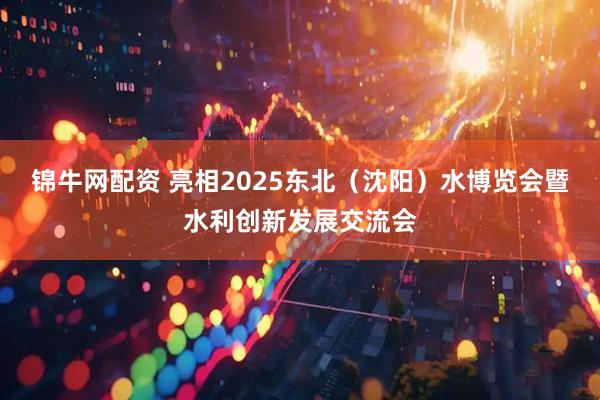 锦牛网配资 亮相2025东北(沈阳)水博览会暨水利创新发展交流会