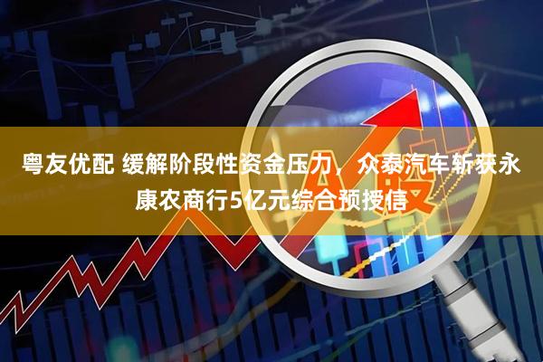 粤友优配 缓解阶段性资金压力，众泰汽车斩获永康农商行5亿元综合预授信